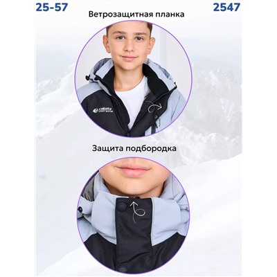 Костюм 2547 серый