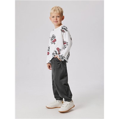 Acoola Брюки 20120160433