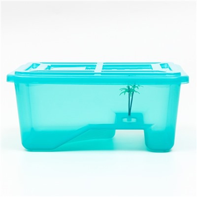 Отсадник для черепах «Озеро» с крышкой, 33×23.5×14 см