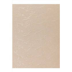 Трусы MADAMODA, 983663