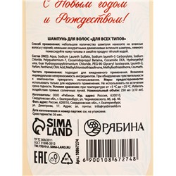 Подарочный набор «С Новым годом и Рождеством», гель для душа, шампунь и пена для ванны 3×250 мл, РЯБИНА