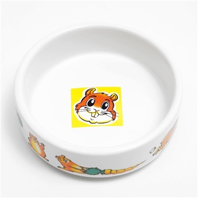 Миска для грызунов «Лакомство», 80 мл, 8.5×3 см, керамика, белая