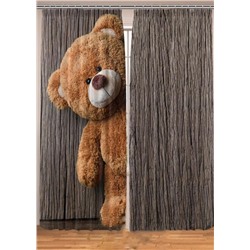 Фотошторы #23062468