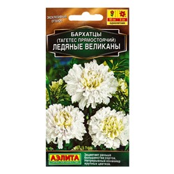 Семена цветов Бархатцы Ледяные великаны прямостоячие  Золотая серия, Ц/П,7 шт.
