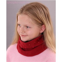 100-26 Снуд (50 x 19)