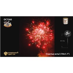 Фейерверк ОС7260 Счастье есть! (1,1" х 19)