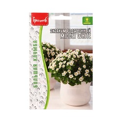 Семена Экзакум родственный Midget White, 10 шт., «Григорьев»