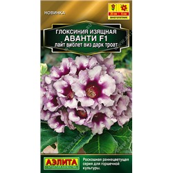 2007A Глоксиния Аванти F1 лайт виолет виз дарк троат 5шт