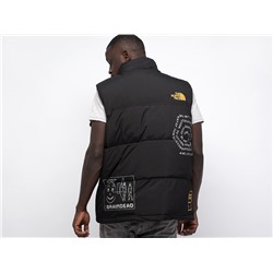 Жилет The North Face