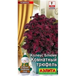 Колеус Комнатный Трюфель Аэлита
