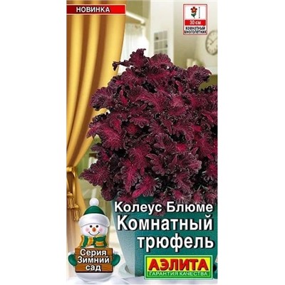Колеус Комнатный Трюфель Аэлита