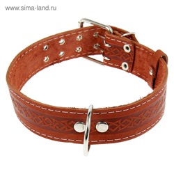 Ошейник кожаный однослойный, 73×4.5 см, ОШ 51-65 см, микс