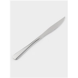 Ножи для стейка Доляна, длина 23 см, толщина рабочей части 2.2 мм, толщина ручки 5 мм, 410 сталь, набор 3 шт., нержавеющая сталь, серебристые