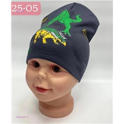 шапка 2054021-2