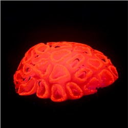 Декор для аквариума коралл Faviidae, 5×2.5 см, силиконовый, розовый