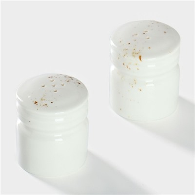 Набор для специй Magistro «Церера», 2 предмета: солонка, перечница, фарфор, белый