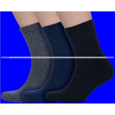 Термоноски мужские внутри махра однотонные "ECONOM" арт. М 29