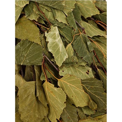 Веник для бани, берёзовый, 50 см, упаковка МИКС