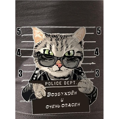Трусы Опасный кот (Серый)