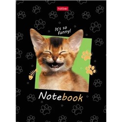 Бизнес-блокнот А6 112х151 мм 80л клетка "КотЭлло" (075751) 25133 Хатбер