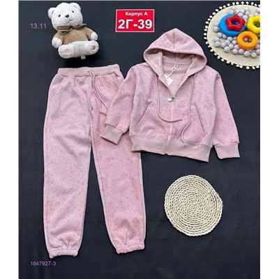 костюм с начесом 1847927-3