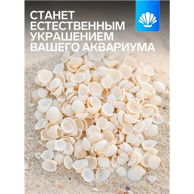 Набор ракушек декоративных 1.5-3 см, 100 г