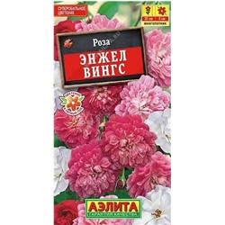 Роза Энжел Вингс Китайская Аэлита