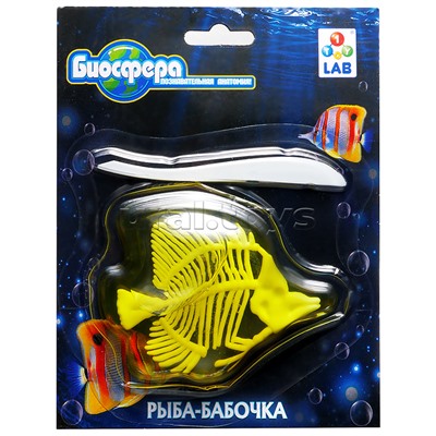 Познавательная анатомия, мини набор "Рыба-бабочка" 14х18см