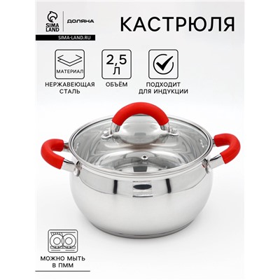 Кастрюля Доляна «Вернер», 2.5 л, d=18 см, с крышкой, капсульное дно, индукция, нержавеющая сталь