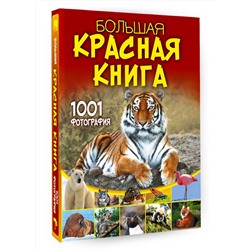 АСТ Спектор А.А. "Большая красная книга. 1001 фотография"