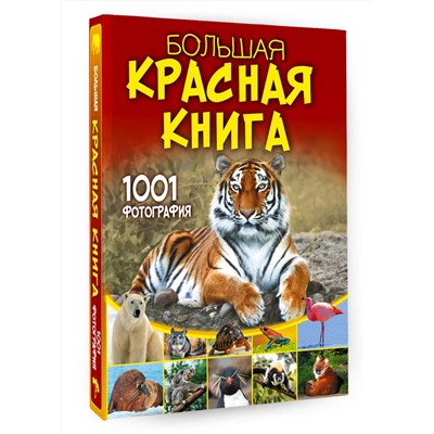 АСТ Спектор А.А. "Большая красная книга. 1001 фотография"