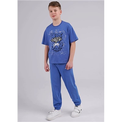 CLEVER Брюки 846566/78зз_п