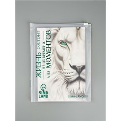 Пакет подарочный «Новогодний сюрприз», тиснение, с шишками и бахромой, 25.5×9×30 см