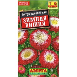 1206A Астра Зимняя вишня помпонная 0,2гр