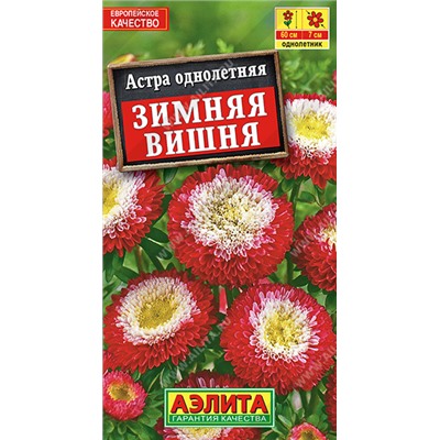 1206A Астра Зимняя вишня помпонная 0,2гр