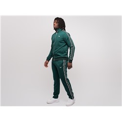 Спортивный костюм Lacoste