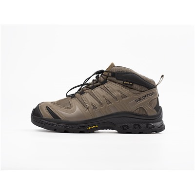 Зимние Кроссовки Salomon XA PRO 3D Mid