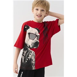 Фуфайка трикотажная для мальчиков (футболка) PLAYTODAY, 1243134