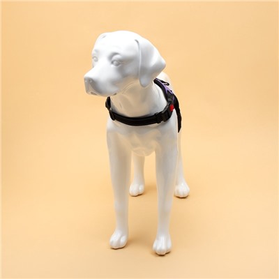 Шлейка К7 мягкая светоотражающая, размер L, ОГ 64-86 см, вес 18- 27.5 кг, фиолетовая