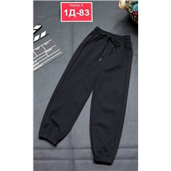 спортивные штаны 2059851-1