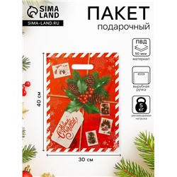 Пакет подарочный «Новогодняя посылка», полиэтиленовый с вырубной ручкой, 30×40 см, 50 мкм
