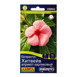 Семена цветов Катарантус Хитвейв априкот карликовый  Спецсерия Hem Genetics, Ц/П,5 шт.