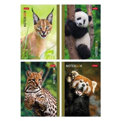 Блокнот А6 24л клетка "В мире животных" ассорти (091011) Хатбер