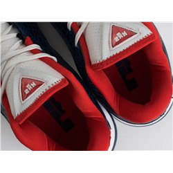 Кроссовки Nike Lebron XXII