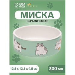 Миска «Котяры», 300 мл, 12.5×12.5×4.5 см, керамика, зелёная, белая