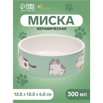 Миска «Котяры», 300 мл, 12.5×12.5×4.5 см, керамика, зелёная, белая