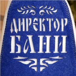 Шапка для бани и сауны, с аппликацией «Директор бани», полиэфир