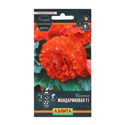 Семена Цветов Бегония "Мандариновая", F1, пробирка, 5 шт