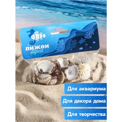 Набор ракушек, 2.5 - 4 см, 100 г