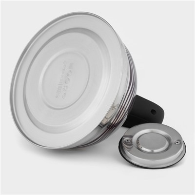 Чайник Доляна «Волна», 2.8 л, со свистком, с индикатором нагрева, фиксированная ручка, нержавеющая сталь